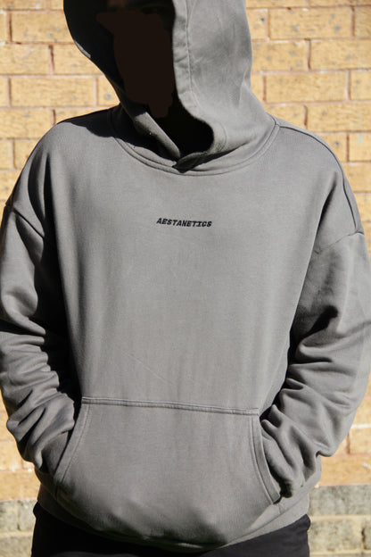 Aestanetics Large Logo Pump Cover - Charcoal Grey
