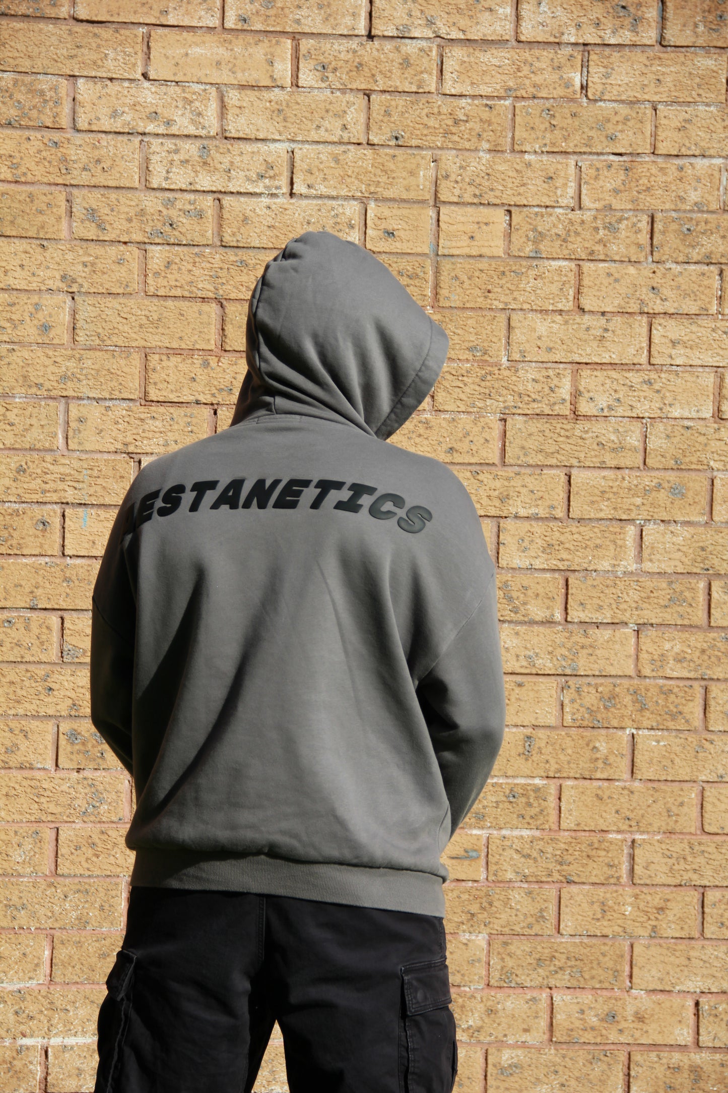 Aestanetics Large Logo Pump Cover - Charcoal Grey